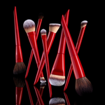 DIEGO DALLA PALMA BRUSHES FULL SET 18 PIECES
