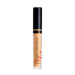 DIEGO DALLA PALMA GEISHA LIFT CONCEALER
