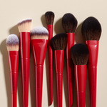 DIEGO DALLA PALMA BRUSHES FULL SET 18 PIECES